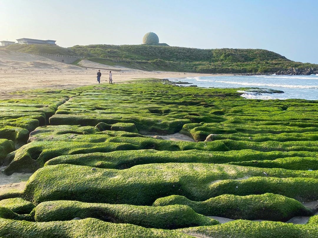 新北 提前轉綠 北海岸季節限定 老梅綠石槽 登場 大自然給予的春天綠色地毯 療癒感百分百 好想去喔