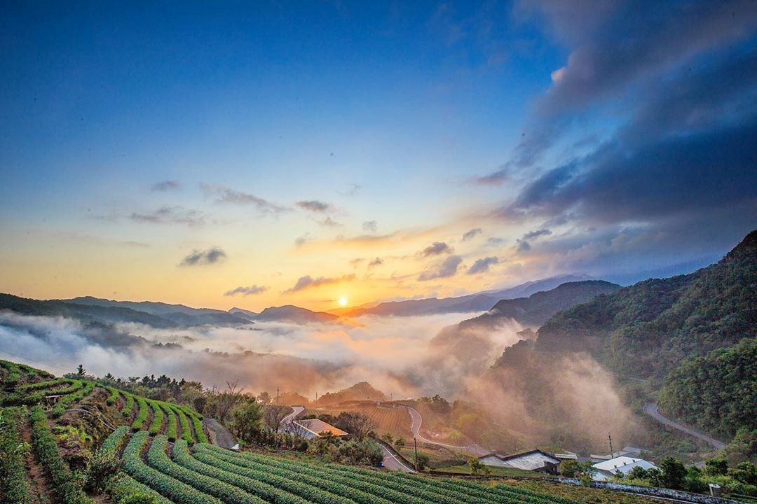 全台 這樣的美景在台灣 想看超仙雲海高機率時刻到了 特搜９處迷人雲海熱點 壯麗景觀一眼就難忘 好想去喔