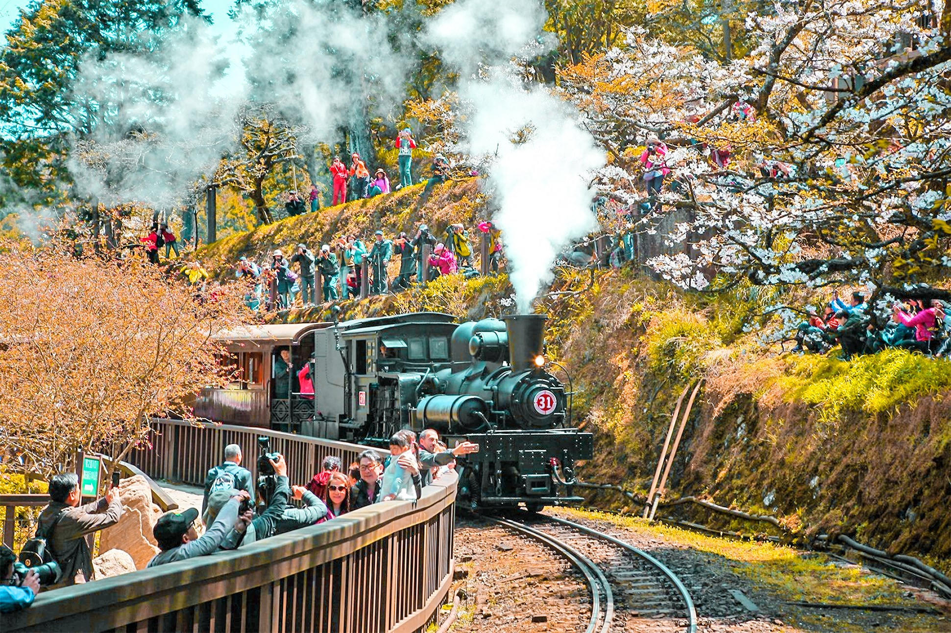 嘉義 阿里山鐵路十字路車站復駛 探索山村秘境 古道 體驗亞洲 最高 窄軌登山鐵道 好想去喔
