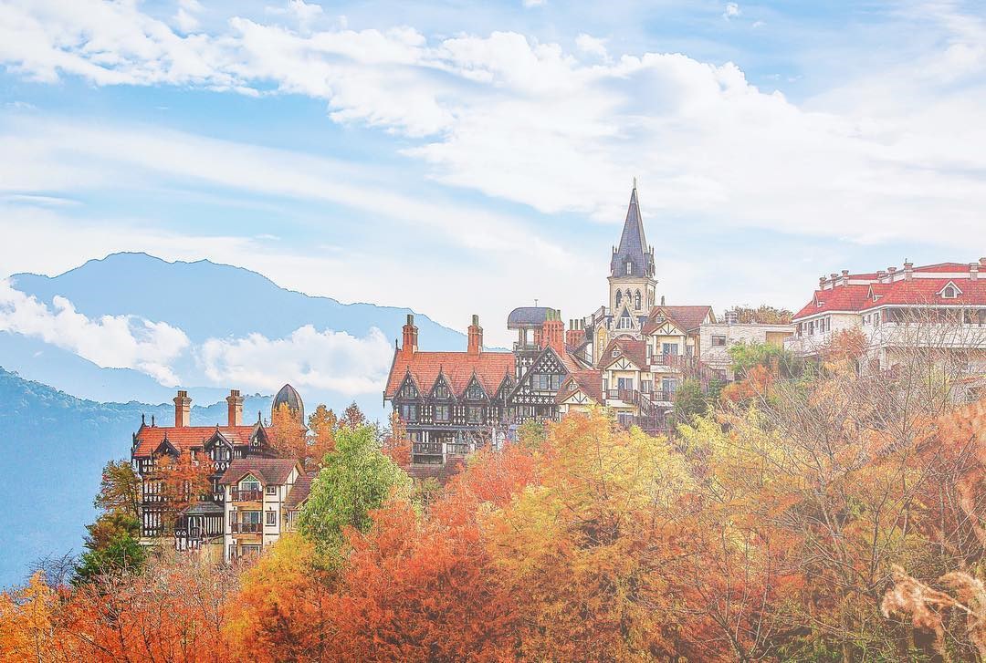 漫遊清境 落羽松老英格蘭 見晴花園 魯媽媽 豪斯登堡 佛羅倫斯 春雨行館 印象北歐 南投清境景點 愛作夢的貓