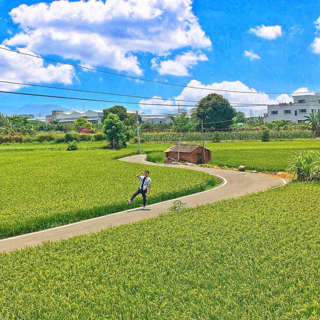 大里一日遊！小資必收免費６景點，懶人包行程看這邊，吃喝玩樂通通有，ＩＧ美照發不完，做好筆記出發去