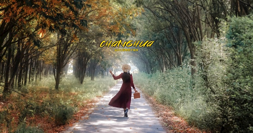 【彰化】免費景點！「溪州公園無患子森林」，穿越神秘龍貓隧道＋夢幻雙色花海火車美景，唱響浪漫冬季戀歌！